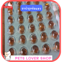 Antinol® for Cat  อาหารเสริมแอนทินอลบำรุงไขข้อสำหรับแมว