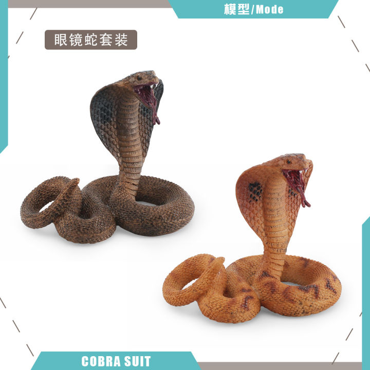 Giảm giá Mô hình con rắn con trăn nhiều loại cao cấp mô hình động vật  ITOYS  BeeCost