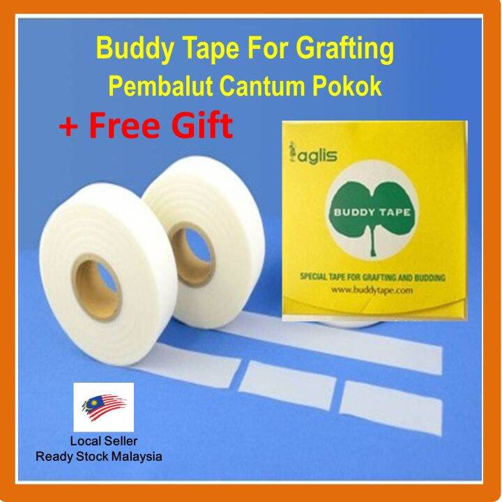 Buddy Tape Grafting Tape /5ft /10ft /15ft Pembalut Cantum Pokok 嫁接膜 Parafilm /Kahwin tape Lazada