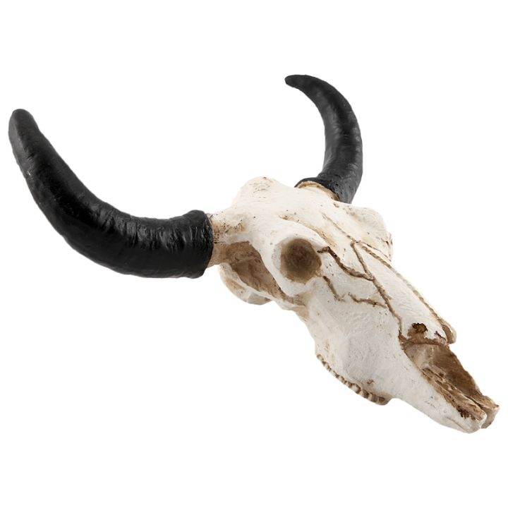 Cow Skull Wall Decor, Animal Skull Decor, Texas Long – beardedcustomsco