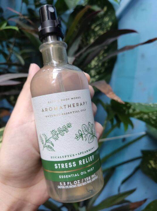 Aromatherapy EUCALYPTUS SPEARMINT Essential Oil Mist Lazada PH