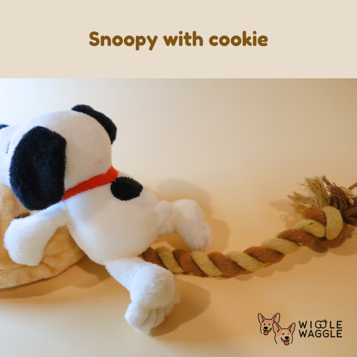 snoopy-gang-dogs-toy-ของเล่นสุนัข-นำเข้าจากญี่ปุ่น-ลิขสิทธิ์แท้