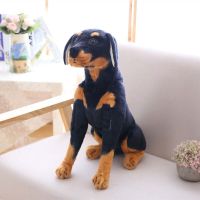 【CC】 Dog toy Sitting Dolls Stuffed Soft for Children Baby Birthday
