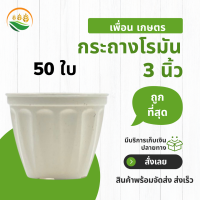 กระถางต้นไม้ กระถางต้นไม้พลาสติก กระถางต้นไม้มินิมอล 3 นิ้ว สีขาว 50 ชิ้น กระถางโรมัน