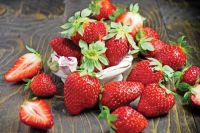 20 เมล็ด Fort Laramie Strawberry เมล็ดสตอเบอร์รี่ ของแท้ 100% สตรอเบอร์รี่ สตอเบอรี สตอเบอรี่ อัตรางอก 70-80% Strawberry seeds มีคู่มือวิธีปลูก