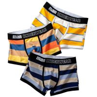 Boxer Men Underpants Brand Luxury Cotton Youth Sports Gay Underwear Man Personality Mens Panties Boxers Stripes Sexy Underp