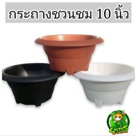 กระถางทรงอ่างชวนชม/บอนไซขนาด10×6 พลาสติก เกรดA แข็ง ไม่เหม็น