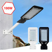 LED Street Lamp 110V 220V IP65 Waterproof Outdoor Lighting Street Light 100W Garden Light park Street wall lamp