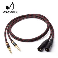 1 Pair HIFI Dual 6.35mm to DUal XLR Male Audio Cable 4N OFC 6.5 TRS to 2 XLR Audio Wire