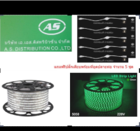 AS ไฟแอลอีดีเส้น SMD 5050 สีเขียว 220V พร้อมปลั๊กเสียบพร้อมที่อุดปลายท่อ จำนวน 5 ชุด