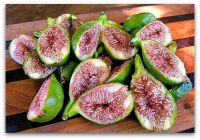 10 เมล็ด เมล็ดมะเดื่อฝรั่ง Figs สายพันธุ์ Desert King ของแท้ 100% มะเดื่อฝรั่ง หรือ ลูกฟิก (Fig) อัตรางอก 70-80% Figs Seed มีคู่มือวิธีปลูก