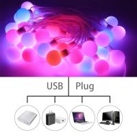 ไฟสาย LED ลูกบอลกลมสี RGB WS2812B ฝันตกแต่งงานเลี้ยงวันเกิดคริสต์มาสสามารถระบุที่อยู่ได้เป็นรายบุคคล IP67 DC5V