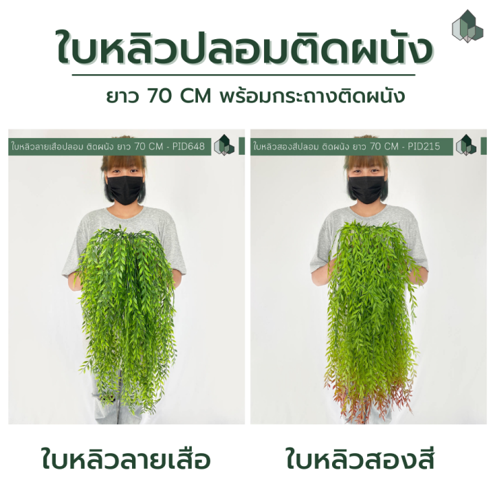 ไม้เลื้อยปลอม-ไม้เลื้อยใบหลิวปลอมยาว70-cm-แบบติดผนัง-ฟรีตัวติดผนังสูญญากาศ