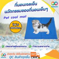 RAINBEAU แผ่นเจลเย็น ที่นอนเย็น เบาะนอนเย็น สำหรับสุนัขและแมว ที่นอนเจล Pet Cool mat ที่นอนสัตว์เลี้ยงแบบเย็น สุนัข เบาะรองนั่ง รองนอน ที่นอนหมา ที่นอนน้องหมา ที่นอนเจลเย็นหมา ที่นอนเย็นหมา ที่นอนเย็นแมว Siez S ขนาด 30x40 cm