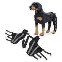 Pet Knee Joint Wrap Stable ป้องกันการเลียลดการอักเสบสะท้อนแสงกันกระแทก Dog Hind Leg Brace for Knee Dislocation