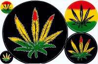 sticker decal gras leaf Rasta Reggae Car Motorbike Racing 26 x 17cm สติกเกอร์ เคลือบกันน้ำ UV ไดคัท ติดรถยนต์ มอเตอร์ไซด์ รถแข่ง บิ๊กไบค์ UV and Waterproof