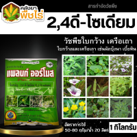 ? แพลนท์ ออร์โมส (2,4-ดี โซเดียม95%) 1กิโลกรัม กำจัดหญ้าใบกว้าง และกกต่างๆ