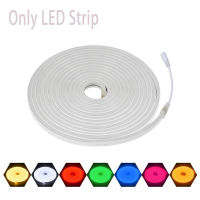 DC12V Tuya Wifi Smart RGB Neon Lights 12345m 2835 Neon Flex Christmas Lghts per armadio guardaroba retroillumione Decor