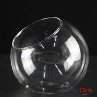 8/10/12cm Terrarium Hydroponic Plant Vases Flower Pot Transparent Glass Container For Tabletop Plants Home Bonsai Decor