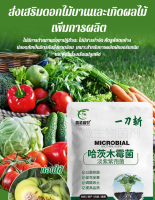 VK SHOP ปุ๋ยจุลินทรีย์สำหรับป้องกันโรครากเน่าและส่งเสริมการเจริญเติบโตของผัก