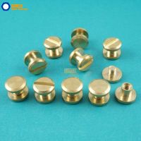 50 Set 8x3mm Solid Brass Rivet Chicago Screw for Leather Craft Belt Wallet / Flat