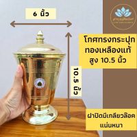 โกศทองเหลือง โกษ ขนาดใหญ่ สูง 10.5 นิ้ว กว้าง 6 นิ้ว โกศทรงกระปุก โกศใส่อัฐิ โกศ โกศใส่กระดูก โกฐใส่กระดูก ที่ใส่กระดูก ฝาปิดมีเกลียว