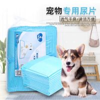 [COD] Manufacturers wholesale pet diaper pad dog disposable polymer absorbent training