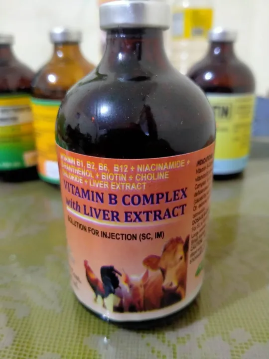 Vitamins b complex with liver extract by Vetboost Lazada PH