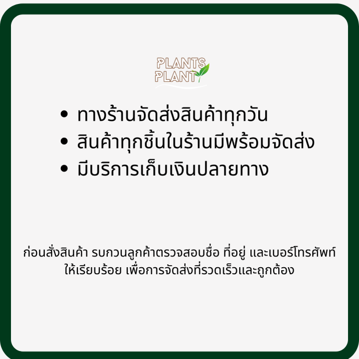 ปุ๋ยเกล็ด-10-20-30-1kg-วาย-วี-พี-ฟีด-y-v-p-feed