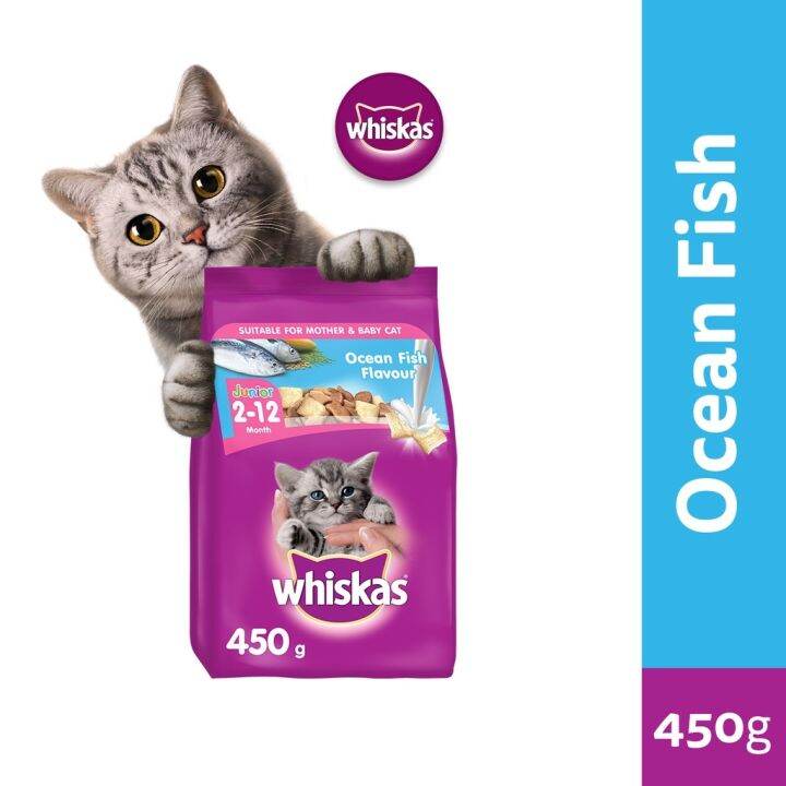 Whiskas 450g best sale