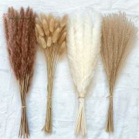 110Pcs Fluffy Pampas Grass Room Phragmites Decor Natural Bunny Tail Grass Dried Flowers Bouquet Wedding Decor Artificial Flowers