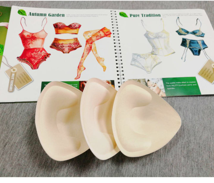 fit-her-inside-and-accessory-cup-a-pair-of-bra-pads