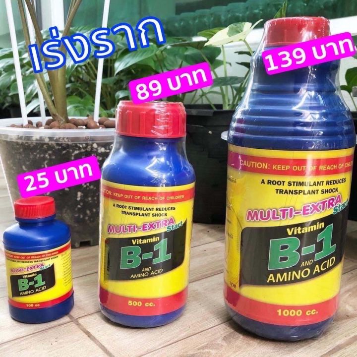 น้ำยาเร่งราก-b1-และ-กรดอะมิโน-multi-extra-b1-and-amino-acid