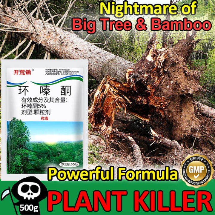 Effective weed control Removing big trees and bamboo Racun rumpai