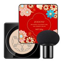 Mushroom Head Air Cushion CC Cream High Coverage Foundation Long Lasting Waterproof Brighten BB Moisturizing Medium Concealer