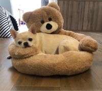 Super Soft Pet Bed Sofa Winter Warm Cute Bear Hug Cat Sleeping Mat Plush Large Puppy Dogs Cushion Cozy Cute Comfort Pet Supplies