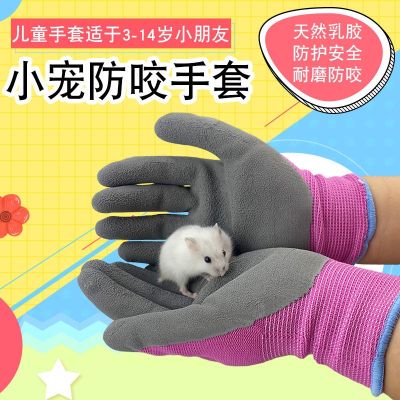 High-end Original Small pet cat parrot rabbit golden bear anti-bite gloves hamster supplies childrens anti-scratch tear and bite protective gloves