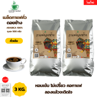 กาแฟดอยช้าง คั่วเข้ม  3 kgs. (6×500g)  กาแฟคั่วเข้ม  กาแฟคั่วเม็ด  กาแฟสด ราคาถูกที่สุด