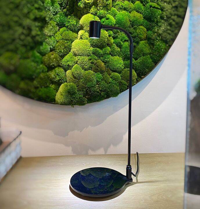 Terrarium LED Light 3 Watt LED with Rounded Base Lazada