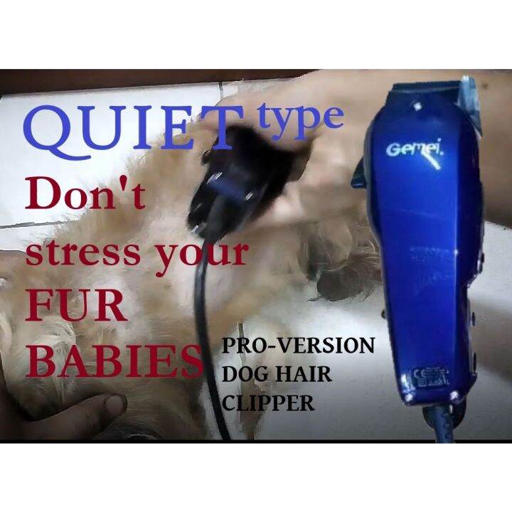 [Hot sales] ∏☢ The MOST Quiet Dog Razor Silent Powerful Shih Tzu Chow ...