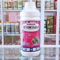 ซาพรอล (Saprol) ชื่อสามัญ : ไตรโฟรีน  (triforine) ...............19%  EC กลุ่มสารกำจัดโรคพืช : Piperazine [กลุ่ม 3]