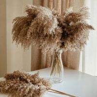 hotx【DT】 10pcs Pampas Reed Dried Flowers Bouque Artificial Boho Wedding Decoration