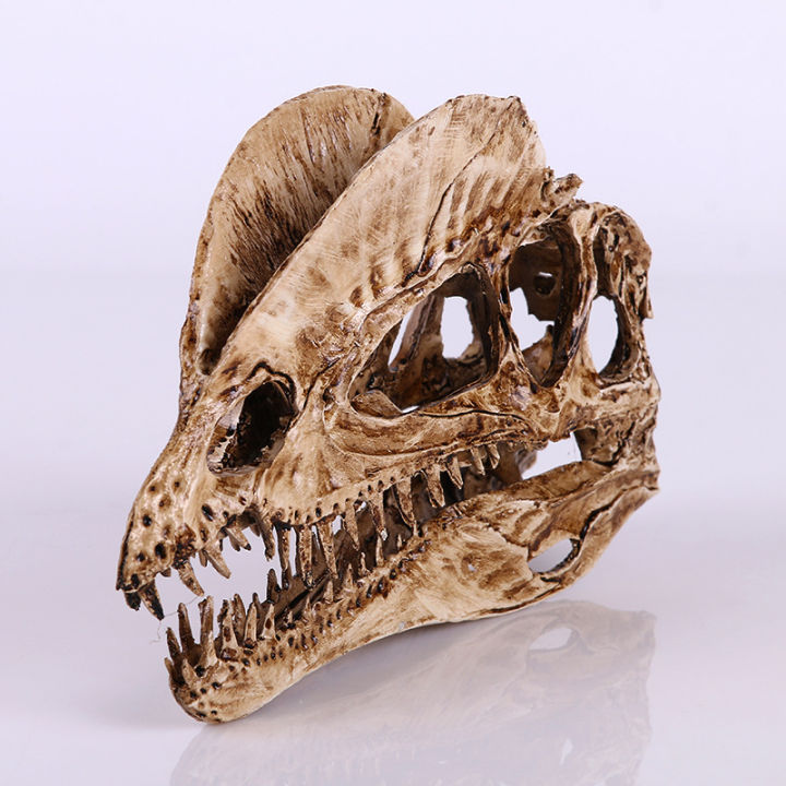 japan-โมเดล-หัวกะโหลก-ไดโนเสาร์-dinosaur-สุดโหด-วัสดุ-เรซิ่น-resin-กะโหลกผี-skull-ตกแต่งบ้าน-ปาร์ตี้ฮาโลวีน-halloween-โครงกระดูก-หัวกะโหลกจำลอง-ของขวัญ-gift-limited-edition-ของสะสมคอลเลคชั่นพิเศษ-coll
