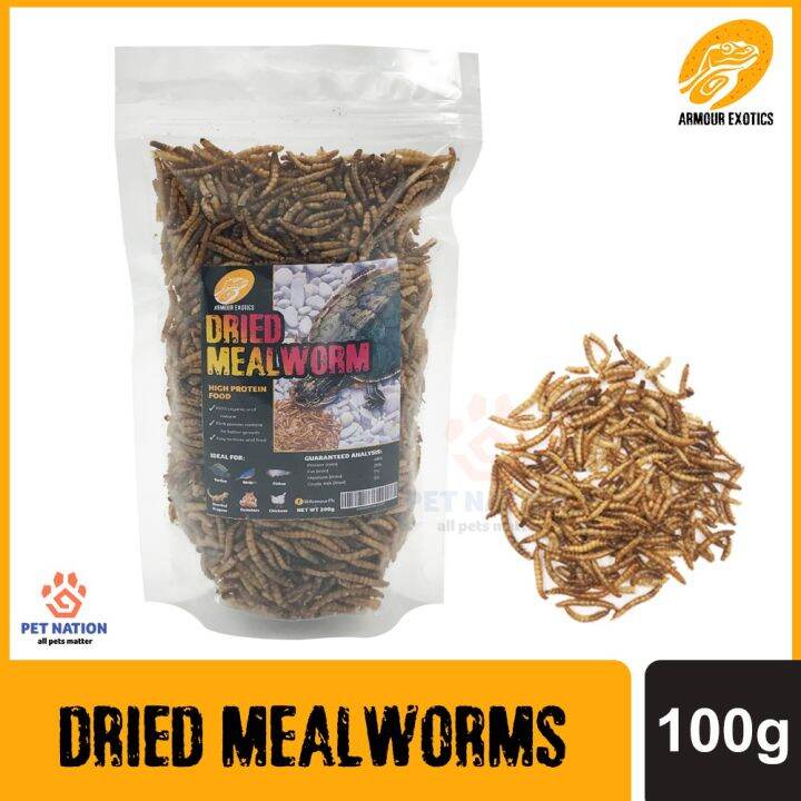 Armour Exotics Dried Mealworms 100g Turtle Food Turtle Pellets Arowana