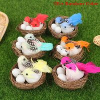 hot【DT】 Birds Miniature Birds Nests Ornament Resin Faux Gardening Bonsai Decoration Accessories Figurines   Miniatures