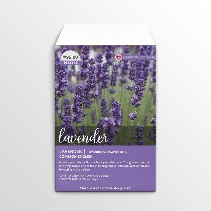 Common English Lavender Seeds Lazada PH