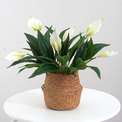 【DT】 hot  Artificial Peace Lilies Pink White Palm Anthurium Fake Spathe Flower Green Plant Outdoor Wedding Home Decor Simulation FlowersTH
