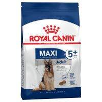 [ลด50%] Royal Canin Maxi Adult 5+ ขนาด 15 กก. Senior อาหารสุนัข สูงอายุ พันธุ์ใหญ่