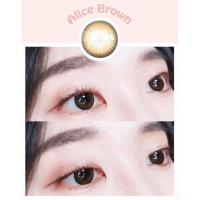 ✨ Alice Brown (Wink lens) ขนาดมินิ Mini ☀️กรองแสง uv (บิ๊กอาย คอนแทคเลนส์ Bigeye)