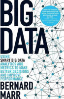 Bernard B. big data: using smart big data